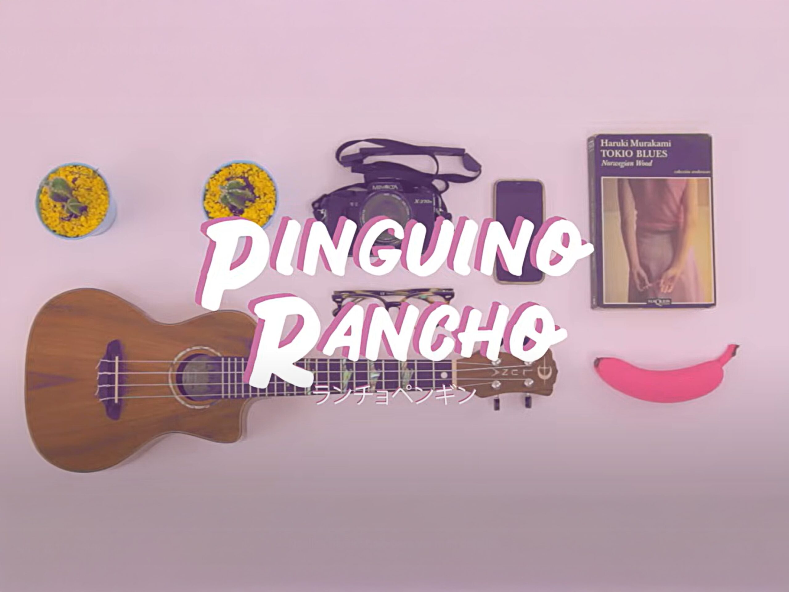 Pingüino Rancho – Mi Sobrino Memo (Video Oficial)
